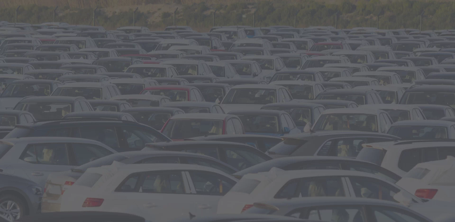 duża ilość aut na parkingu